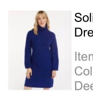 Reitmans Deep Blue Turtleneck Sweater Dress